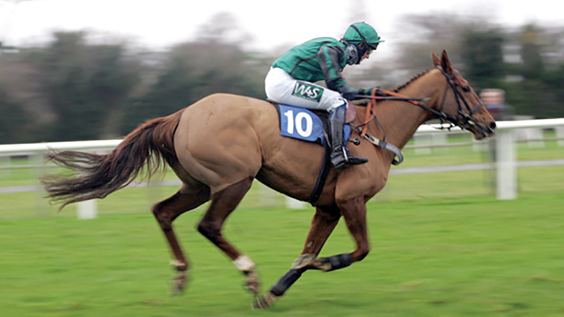 Bath Racecourse